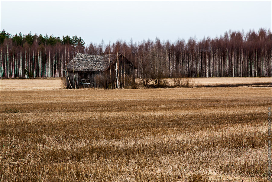 Сарай Сарай