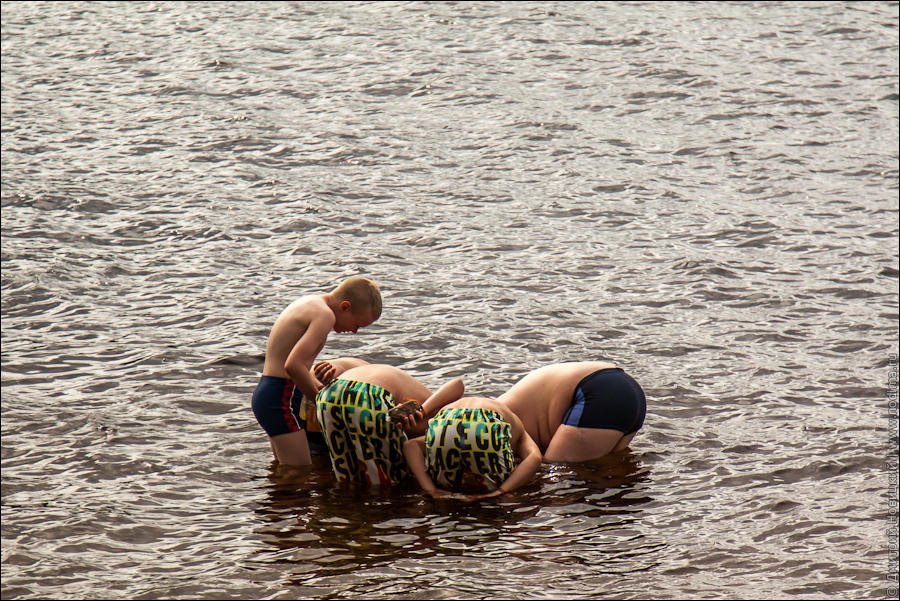 25. Водная программа