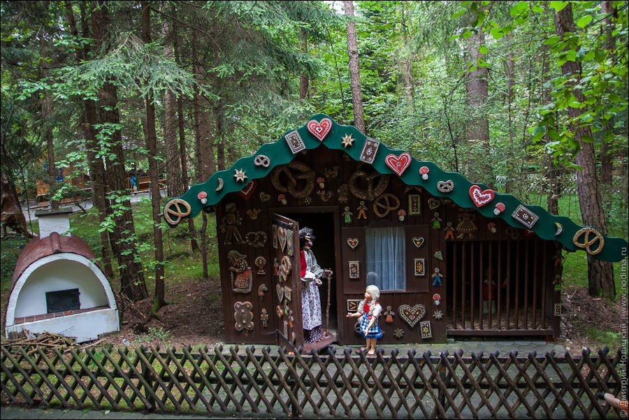 Лес сказок