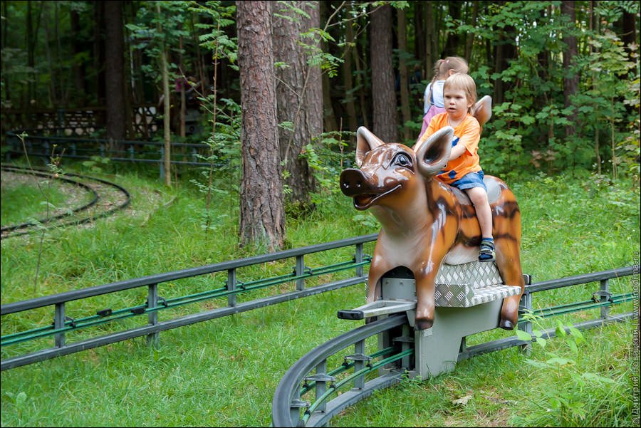 Лео на поросенке