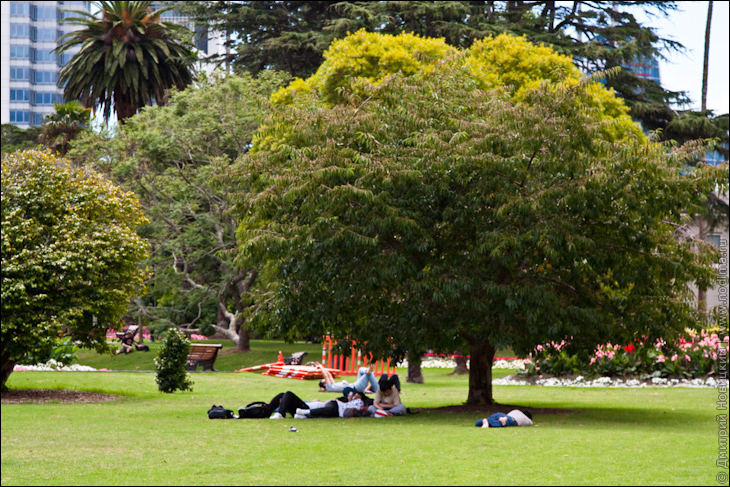Albert Park Albert Park