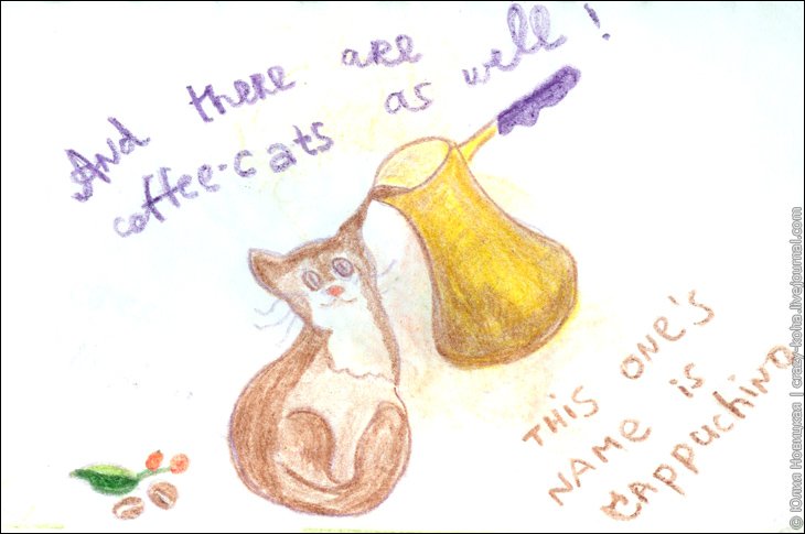 Coffee-cat