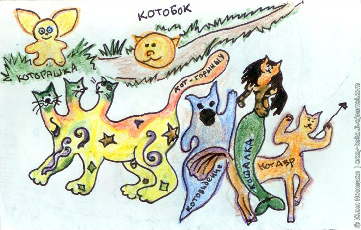 Которашка, Котобок, Кот-Горыныч, Котовидение, Кошалка и Котавр