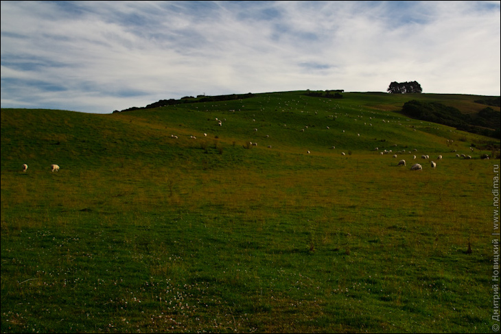 Зеленые холмы, как в Windows XP Зеленые холмы, как в Windows XP