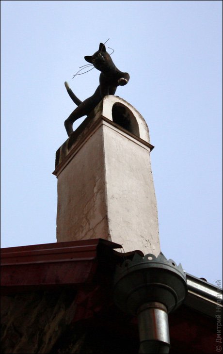 Кошка на трубе